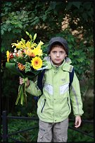 www.floristic.ru - .   1 