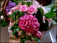 www.floristic.ru - .   1 