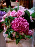 www.floristic.ru - .   1 