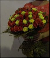 www.floristic.ru - .  .