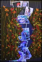 www.floristic.ru - .       2010.
