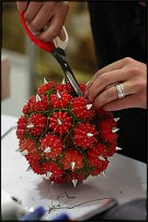 www.floristic.ru - .       2010.