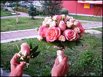 www.floristic.ru - Флористика. Разбор полётов