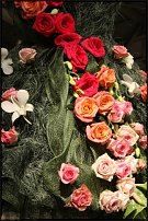 www.floristic.ru - .      .  .