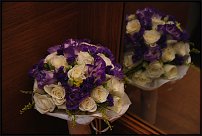 www.floristic.ru - .  