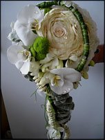 www.floristic.ru - .  .