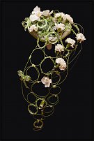 www.floristic.ru - .  .