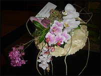 www.floristic.ru - .  .