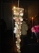 www.floristic.ru - .  .