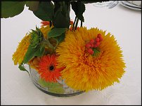 www.floristic.ru - .   .