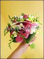 www.floristic.ru - .  .