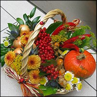 www.floristic.ru - . 