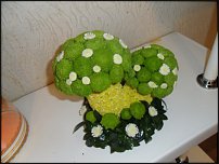 www.floristic.ru - .   ....