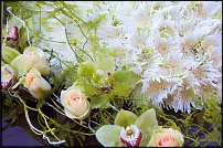 www.floristic.ru - .    