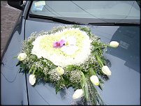 www.floristic.ru - .  