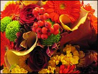 www.floristic.ru - .  .