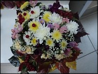 www.floristic.ru - .    !!!