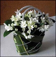 www.floristic.ru - . !!!!!