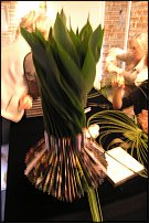 www.floristic.ru - . Marie-Francoise Deprez (- )