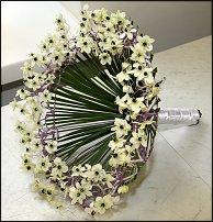 www.floristic.ru - .   ""