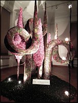 www.floristic.ru - Флористика. Stef Adriaenssens