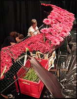 www.floristic.ru - . Stef Adriaenssens