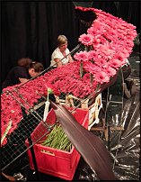 www.floristic.ru - Флористика. Stef Adriaenssens