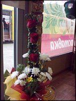 www.floristic.ru - .      