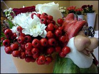 www.floristic.ru - .    !!!