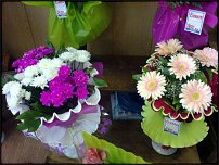 www.floristic.ru - .  