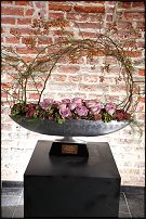 www.floristic.ru - .  .