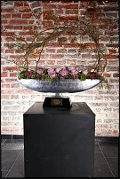 www.floristic.ru - .  .