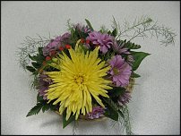 www.floristic.ru - .    !!!