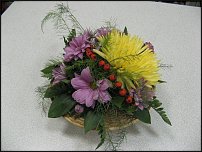 www.floristic.ru - .    !!!