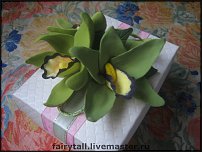 www.floristic.ru - .  