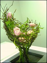 www.floristic.ru - . !!!!!