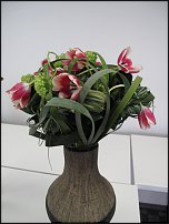 www.floristic.ru - .   ""