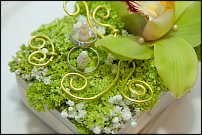 www.floristic.ru - .  .