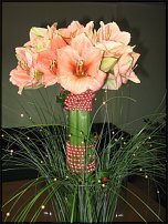 www.floristic.ru - .  