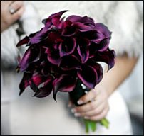 www.floristic.ru - . !!!!!