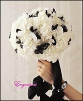 www.floristic.ru - . !!!!!