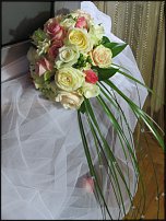 www.floristic.ru - .    