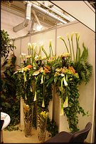 www.floristic.ru - . FLOWERS & HORTECH UKRAINE