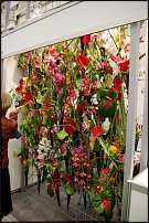 www.floristic.ru - . FLOWERS & HORTECH UKRAINE