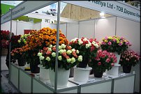 www.floristic.ru - . FLOWERS & HORTECH UKRAINE