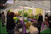 www.floristic.ru - . FLOWERS & HORTECH UKRAINE