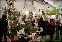 www.floristic.ru - . FLOWERS & HORTECH UKRAINE