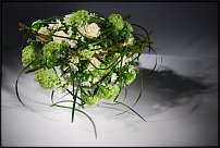 www.floristic.ru - .    .