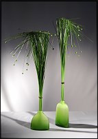 www.floristic.ru - .    .