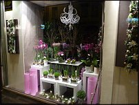 www.floristic.ru - .       - ?